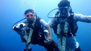 Image result for A wonderful couple who got married in the 60 feet deep sea