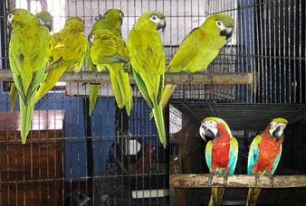 Generic placeholder image