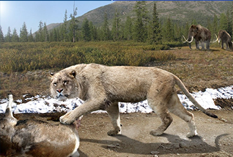 Generic placeholder image