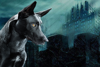 Generic placeholder image