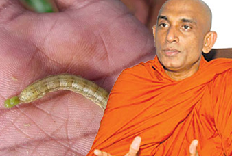 සේනා දළඹුවා ජානමය විකෘති කර විද්‍යාගාරයන්හීදි නිපදවූ සත්ත්වයෙක් – රතන හිමිගේ විශේෂ හෙළිදරව්ව