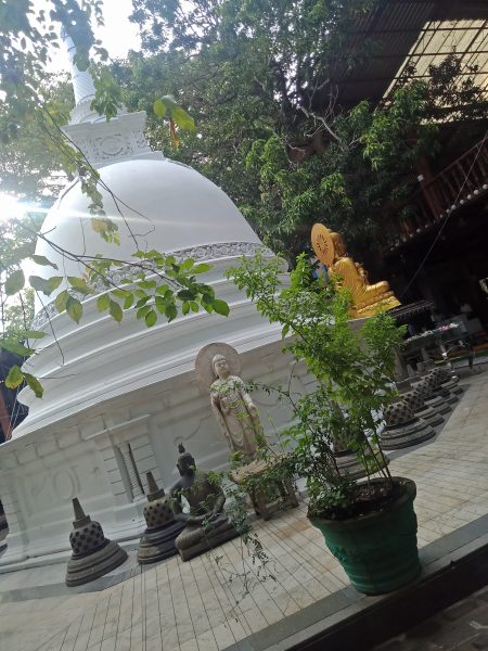 IMG20190417075809