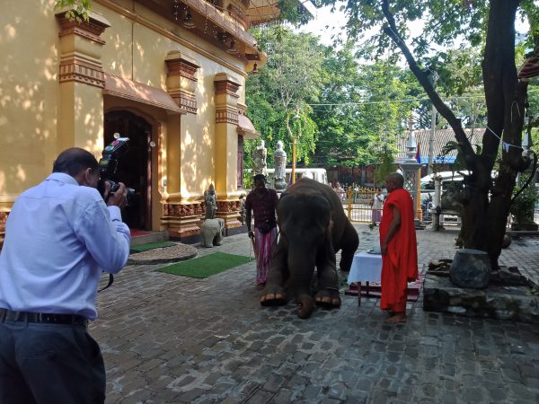 IMG20190417080720