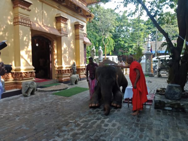 IMG20190417080721