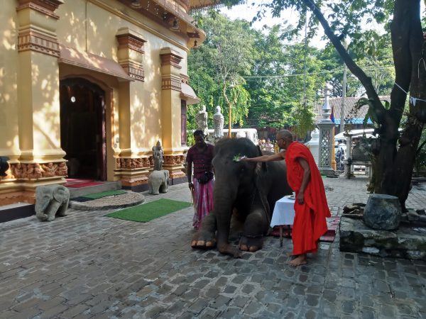 IMG20190417080725