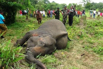 Generic placeholder image