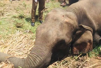 Generic placeholder image