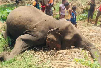 Generic placeholder image