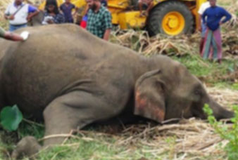 Generic placeholder image