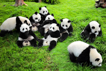 Generic placeholder image