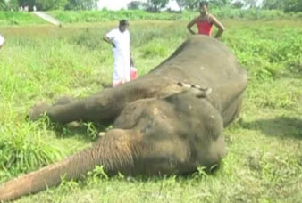 Generic placeholder image