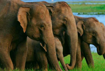 Generic placeholder image