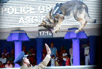 Generic placeholder image