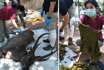 Generic placeholder image