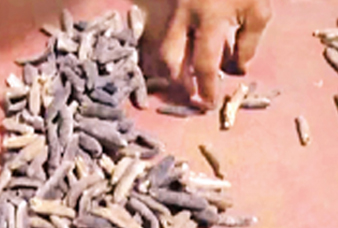 Generic placeholder image