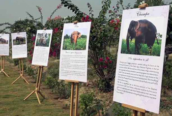 Generic placeholder image