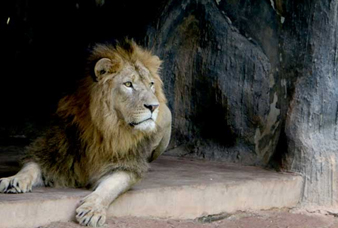 Generic placeholder image