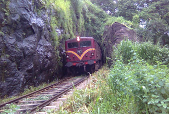 Generic placeholder image