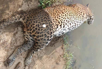 Generic placeholder image