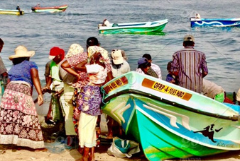 Generic placeholder image