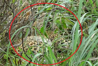 Generic placeholder image