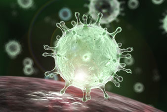 Generic placeholder image