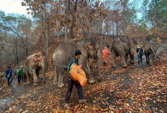 Generic placeholder image