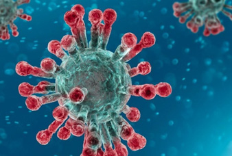 Generic placeholder image