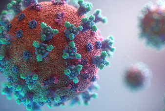 Generic placeholder image