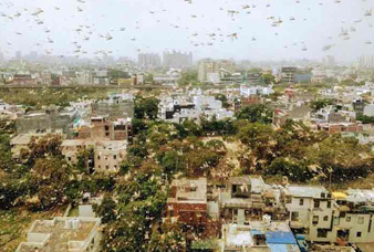 Generic placeholder image