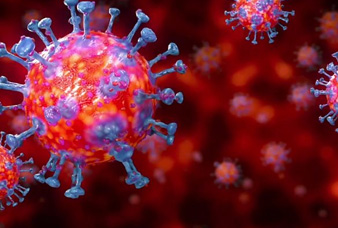 Generic placeholder image