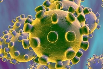 Generic placeholder image