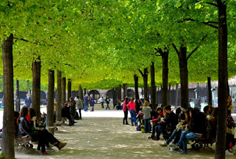 Generic placeholder image