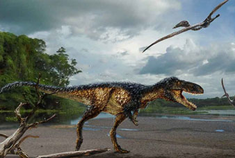 Generic placeholder image