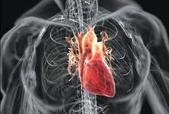 Generic placeholder image