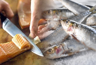 Generic placeholder image