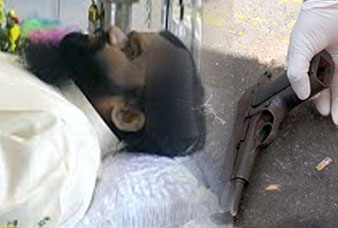 Generic placeholder image