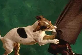 Generic placeholder image