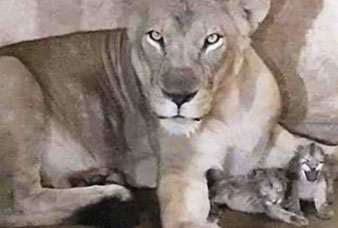 Generic placeholder image