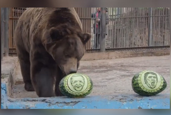 Generic placeholder image