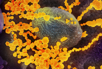 Generic placeholder image