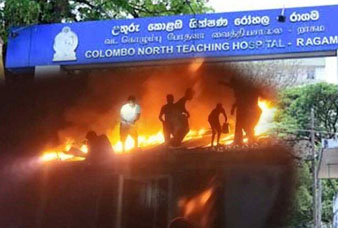 Generic placeholder image