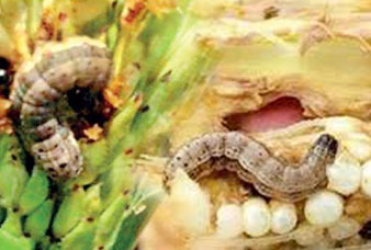 Generic placeholder image