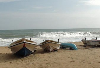 Generic placeholder image