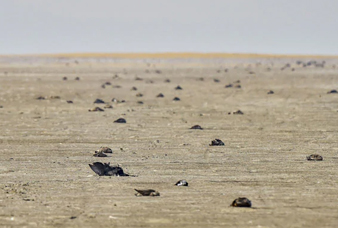 Generic placeholder image