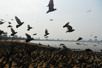 Generic placeholder image