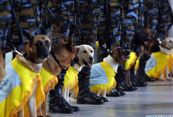 Generic placeholder image