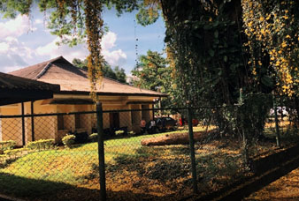 පේරාදෙණිය විශ්වවිද්‍යාලයේ පශු වෛද්‍ය පීඨය තාවකාලිකව වසයි