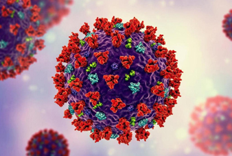 Generic placeholder image