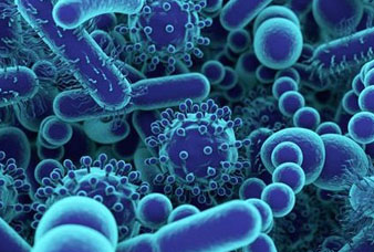 Generic placeholder image